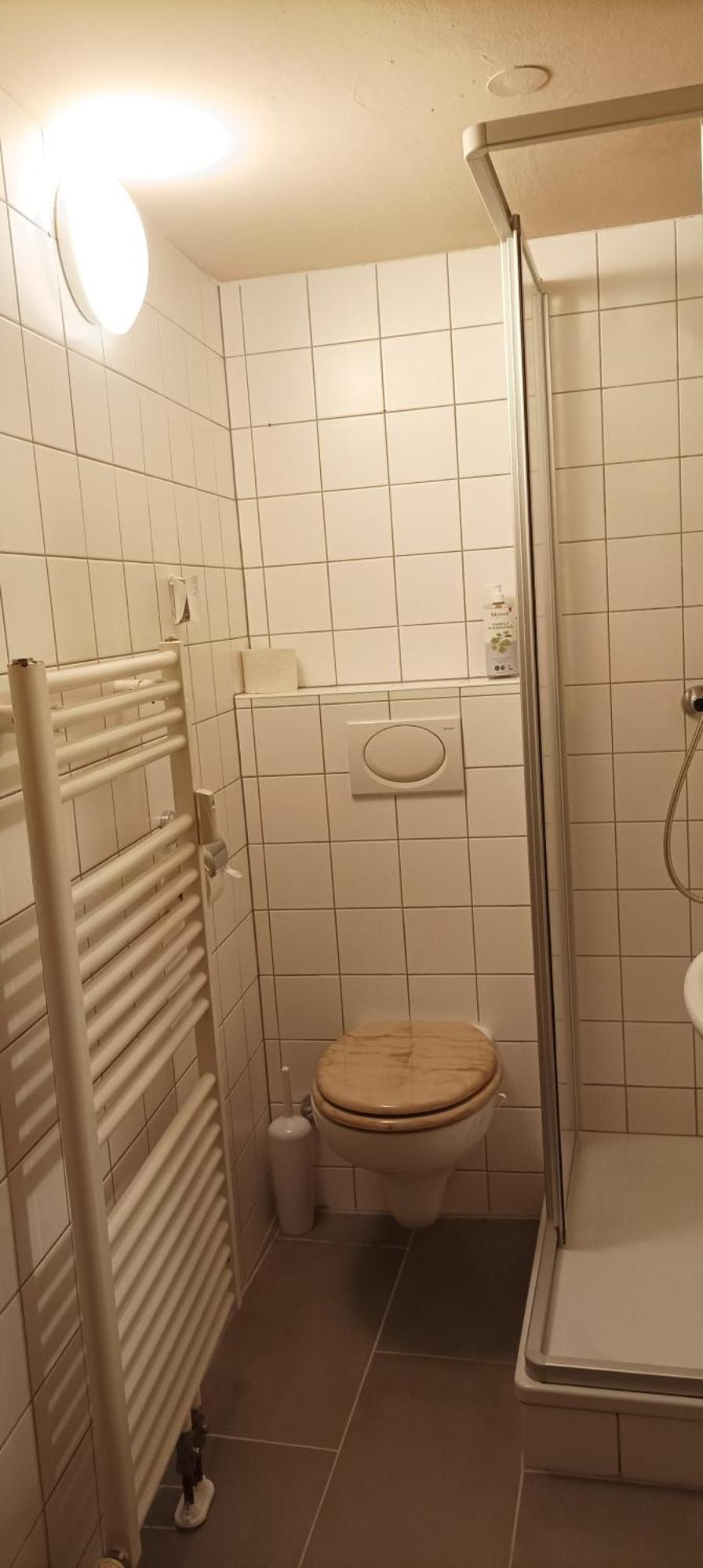 Altmuehle Apartment Altlengbach Ngoại thất bức ảnh